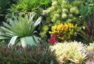 Begonialandscape-designer-10.jpg; ?>